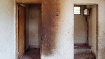 无厕田野：一篇严格意义上的日记