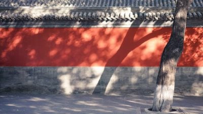 Chill Why Did/鱼儿水中游（新山）