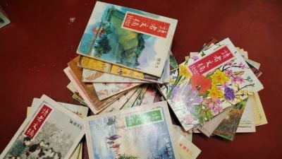 割舍还休杂志情/刘爱佩（丹绒马林）