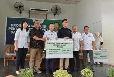 陈泓缣：最大受惠州 沙年获6100万重种油棕