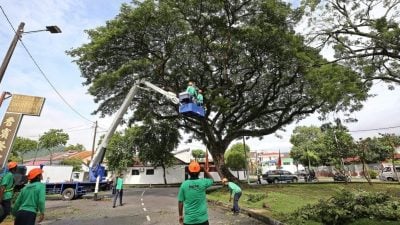 要绿意，也要安全