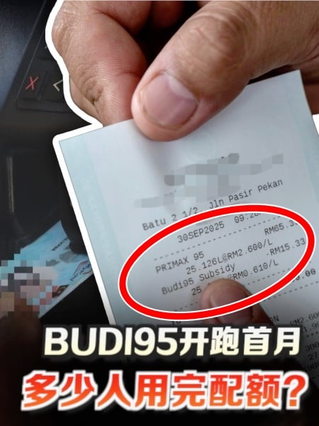 BUDI95开跑首月 仅少数人用完配额
