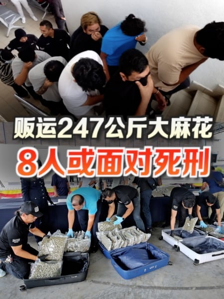 涉贩运247公斤大麻花 8人或面对死刑