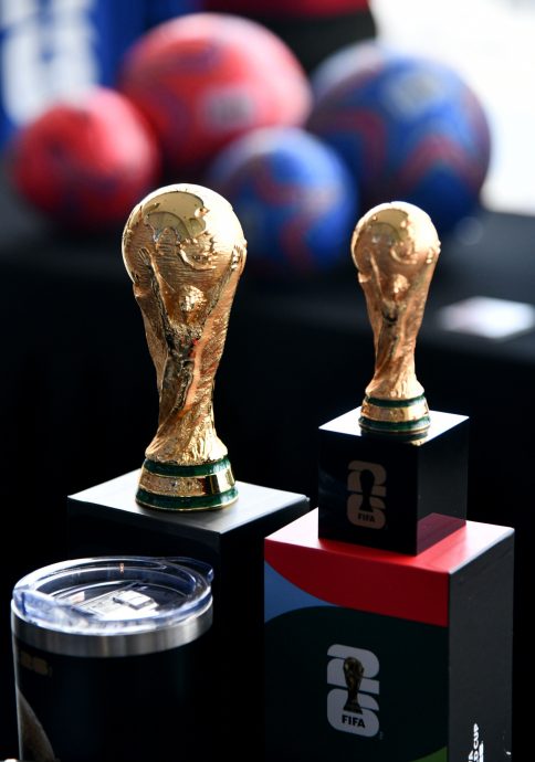 2026年世界杯|  绿洲家园获世界杯授权分销  张维城：看好西班牙夺冠