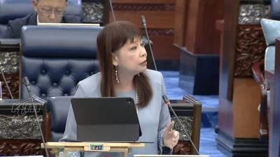 2026年起高额交易 电力与电讯服务 禁用合并性电子发票