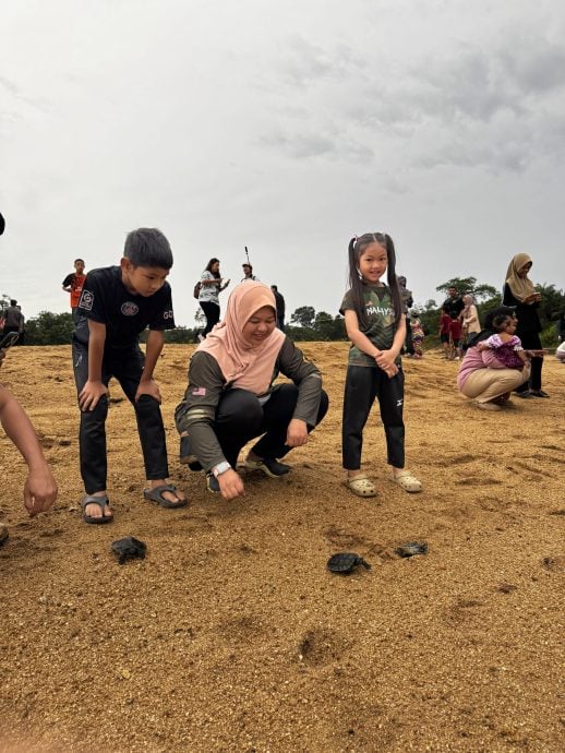 23/11 大都会/东/星角摄:河龟放生