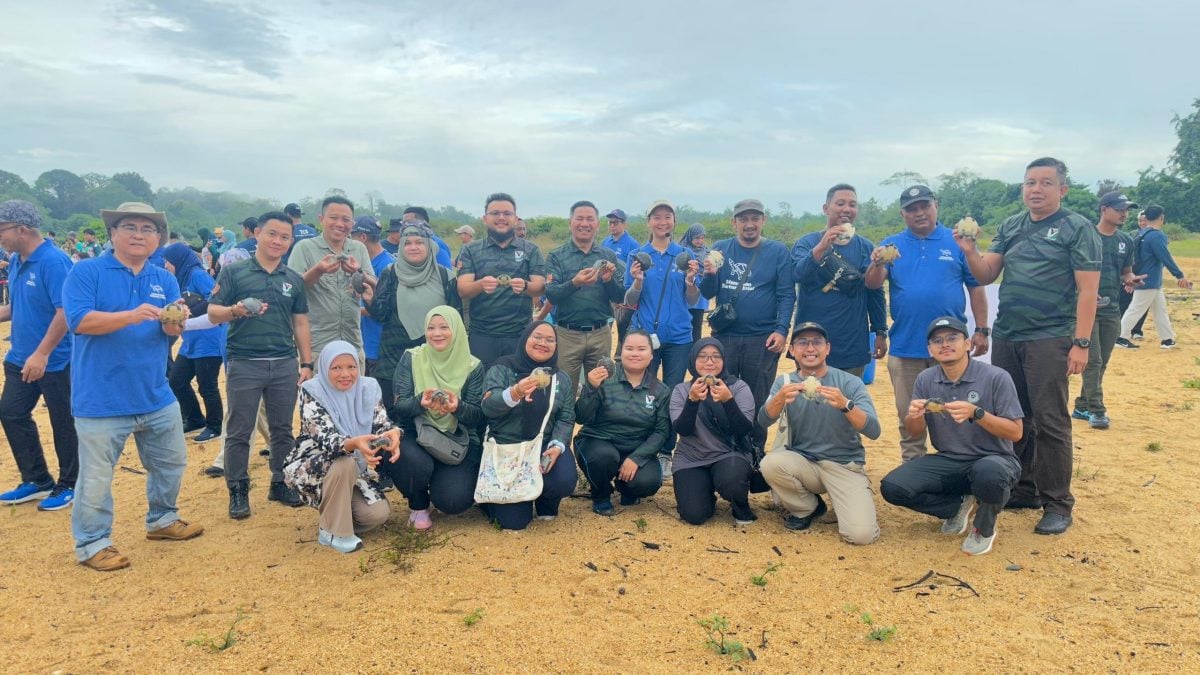 23/11 大都会/东/星角摄:河龟放生