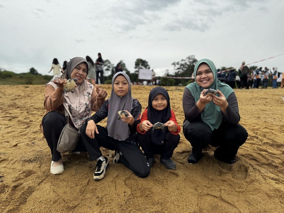 23/11 大都会/东/星角摄:河龟放生