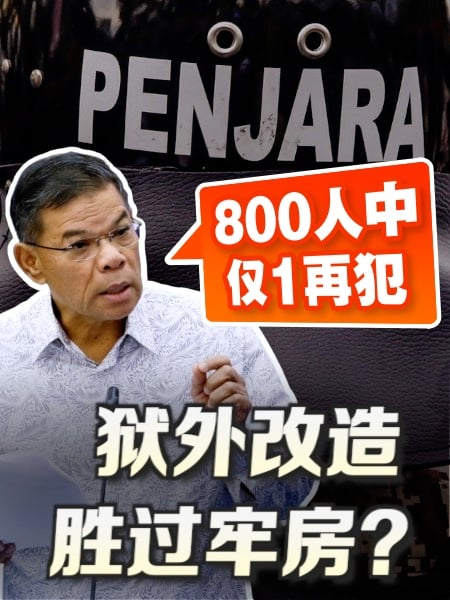狱外改造胜过牢房？赛夫丁：800人仅1再犯