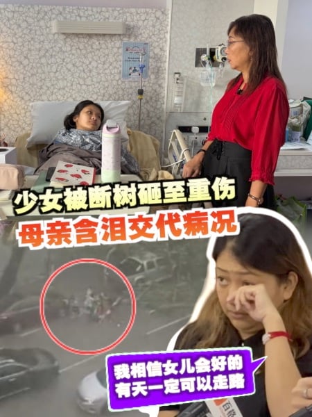 少女雨中遇断树意外重伤 母亲无力负担医费 向公众募款