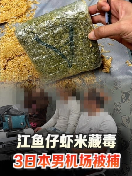 江鱼仔虾米藏毒 3日本男机场被捕
