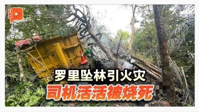 罗里失控坠林引火灾 司机逃生不及身亡