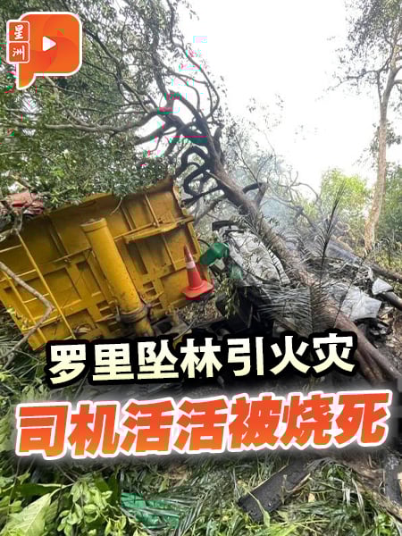 罗里失控坠林引火灾 司机逃生不及身亡
