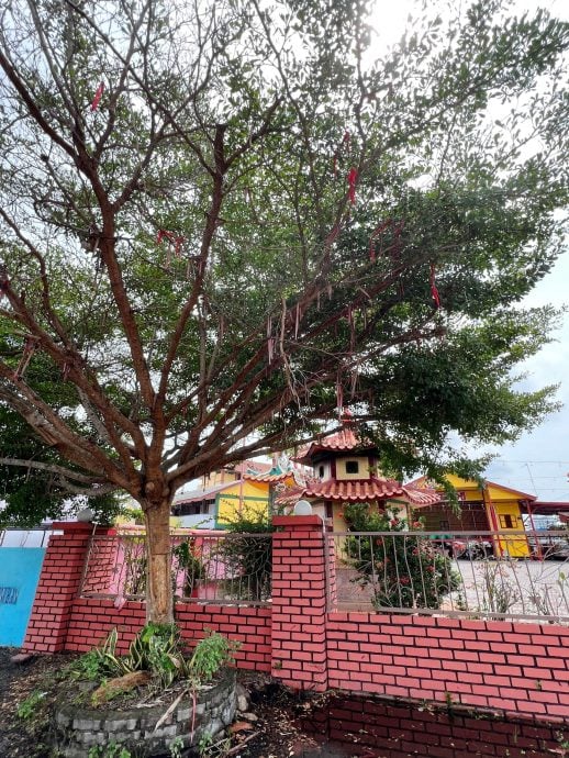 (25/11见报）异宗求同：适耕庄C村保安宫（秀姑庙）