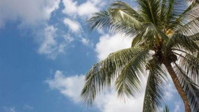 【史學縱橫】誰的南洋？誰的歷史？南洋視野下的歷史省思