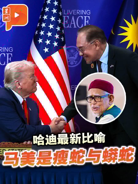 哈迪最新比喻 马美是瘦蛇与蟒蛇