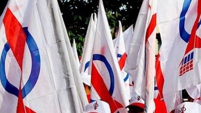 华裔选民刮反风 火箭全面崩溃