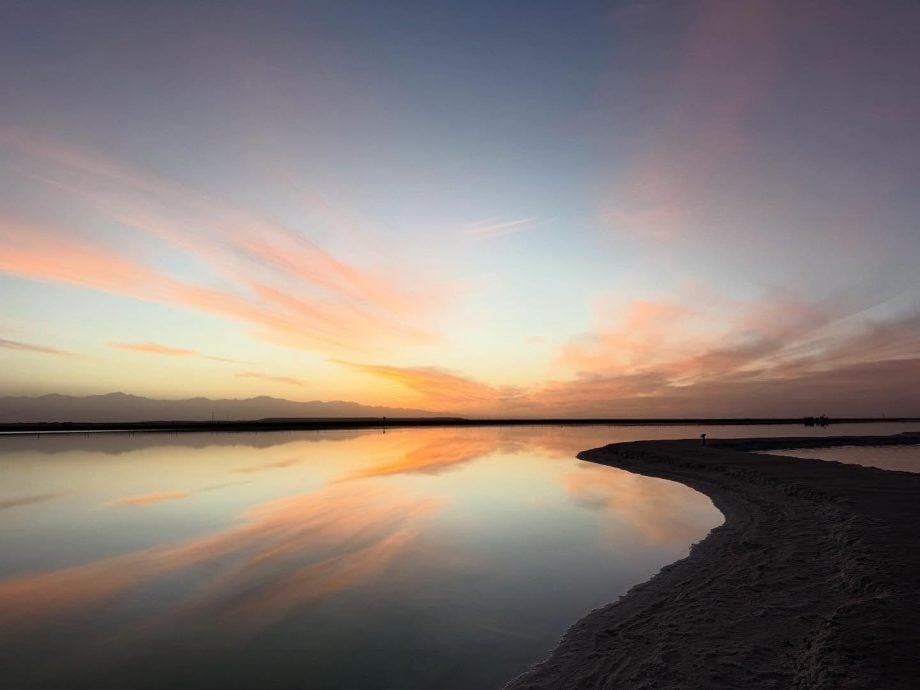 49岁赵薇曾误传死讯 更新近照一句话暗藏玄机?