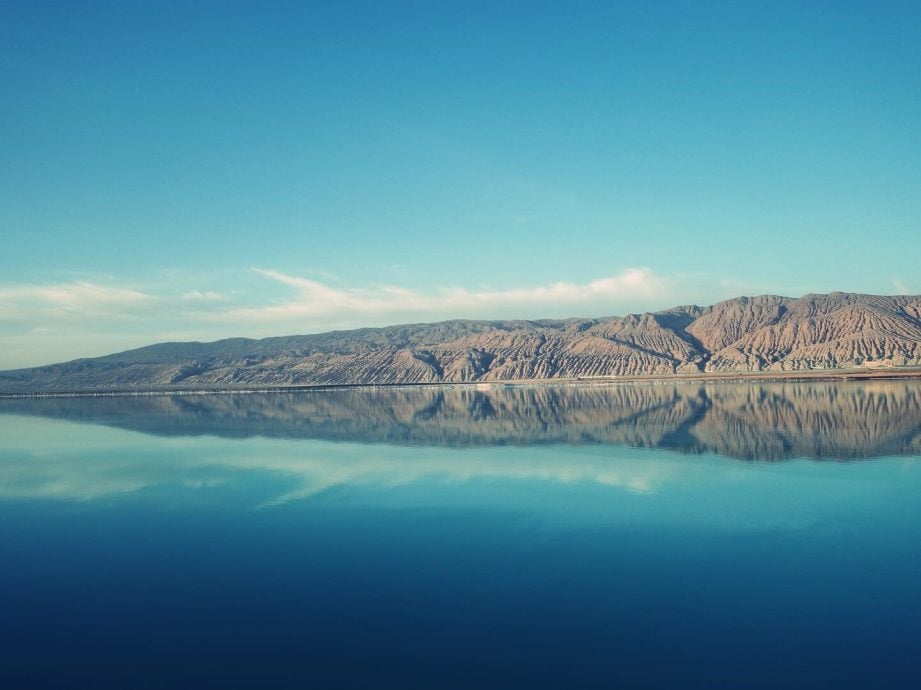 49岁赵薇曾误传死讯 更新近照一句话暗藏玄机?