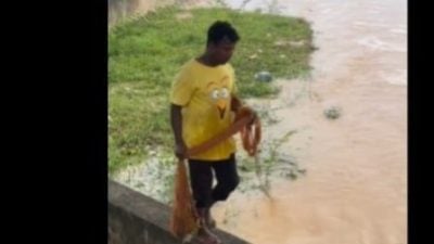 洪水湍急  男子冒险踏河堤 撒网捕鱼引围观