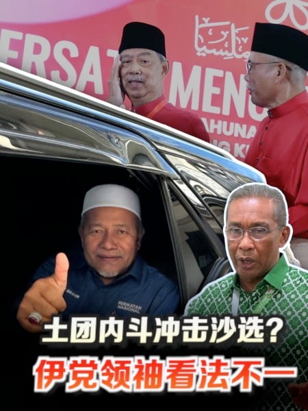 承认土团内斗冲击国盟 伊党领袖促稳住阵脚