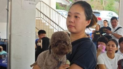 SPM考生车祸身亡|  要求快捷通巴士乘客现身当证人 死者母亲：还原孩子被撞过程