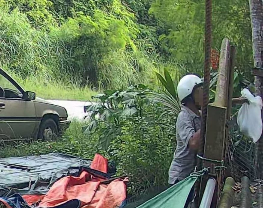 5只初生幼犬被丢弃在庇护所,爱护动物志工谴责不负责任行为。