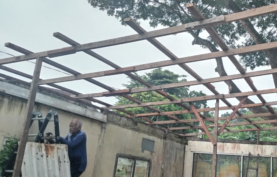 5只初生幼犬被丢弃在庇护所,爱护动物志工谴责不负责任行为。