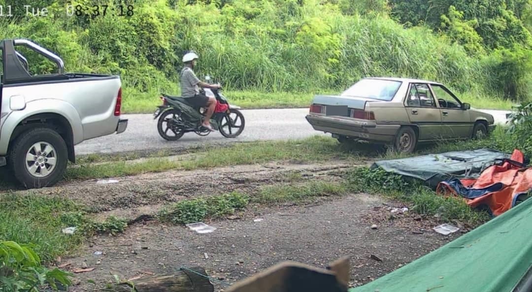 5只初生幼犬被丢弃在庇护所,爱护动物志工谴责不负责任行为。