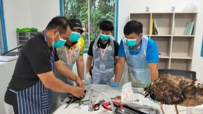 沙巴公园办工作坊　提升标本处理专业能力