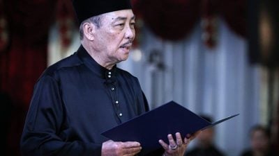 哈芝芝：感谢人民再次委托 坚定不移推动SMJ 2.0