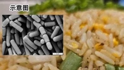 鸡肉炒饭含蜡样芽孢杆菌 . 业者罚款1500
