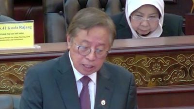 砂议会｜免费高教范围 首阶纳64课程