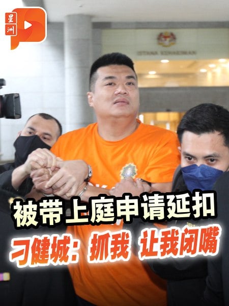 被带上庭申请延扣 刁健城：抓我 让我闭嘴