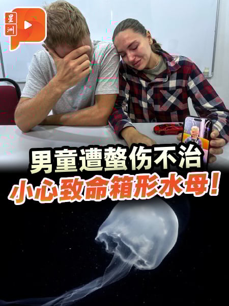 俄籍幼童命丧交怡 2分钟了解箱形水母多致