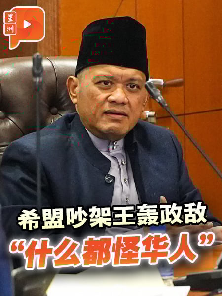 希盟吵架王轰政敌 “什么都怪华人”