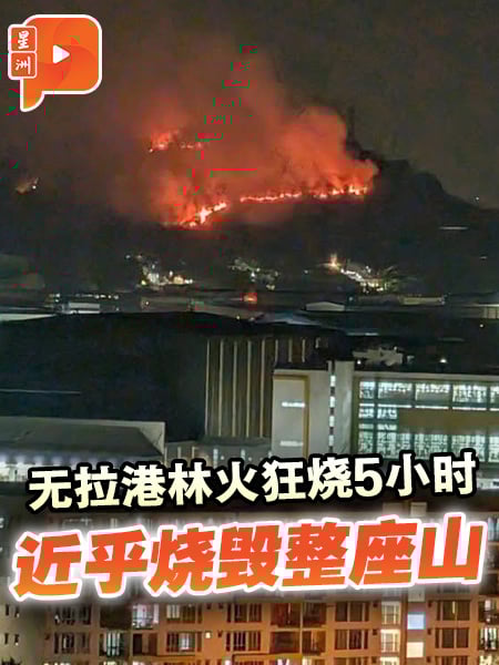 无拉港6英亩山林化灰 消防连夜灌救5小时扑灭