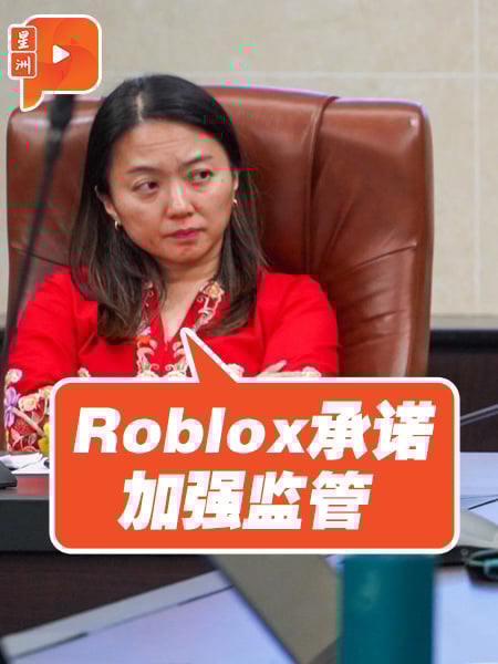 杨巧双： Roblox保证加强监督提升安全