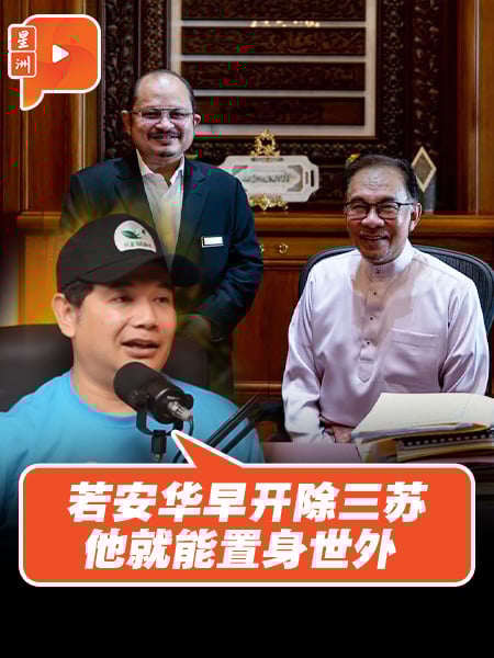 拉菲兹：若安华早开除三苏 他就能置身世外