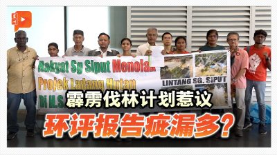 霹雳伐林计划 环评报告有包庇之嫌？民团逐一揪漏洞