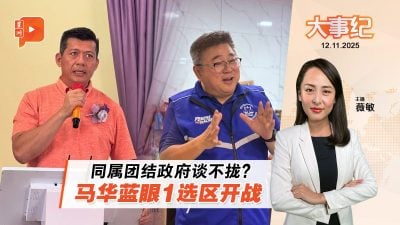 避不了选区重叠？马华蓝眼沙选开战