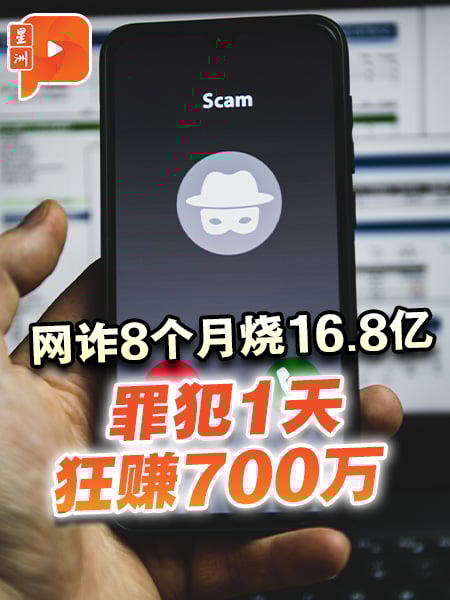 网诈8个月烧16.8亿 罪犯1天狂赚700万