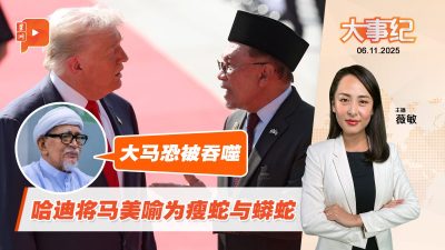 批马美协议是危险联盟 哈迪:瘦蛇遇上蟒蛇