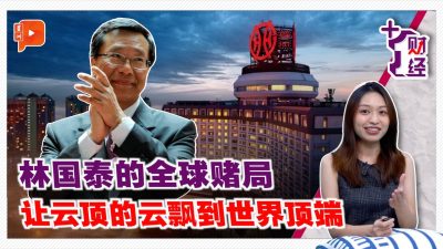 从高原到全球 林国泰的多元化赌注