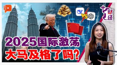 2025全球腥风血雨 马来西亚的危与机