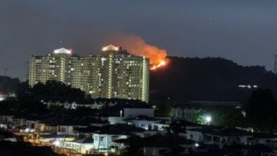 视频| 无拉港山林失火 火势失控