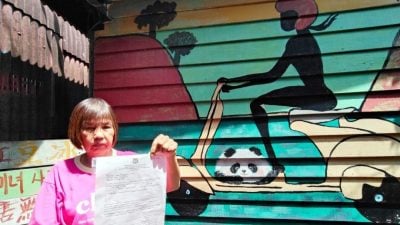 槟市政厅指示清除姓周桥壁画 桥民屋主作者大呼没道理