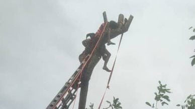 巫裔男爬树锯枝卡树上　消拯队迅速救援