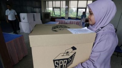 学者：提前投票率高涨 料带动选民情绪动力