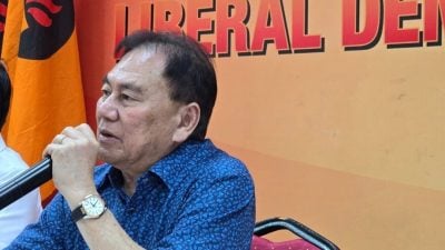 自民党力挺马西迪言论 联盟伙伴须相互尊重